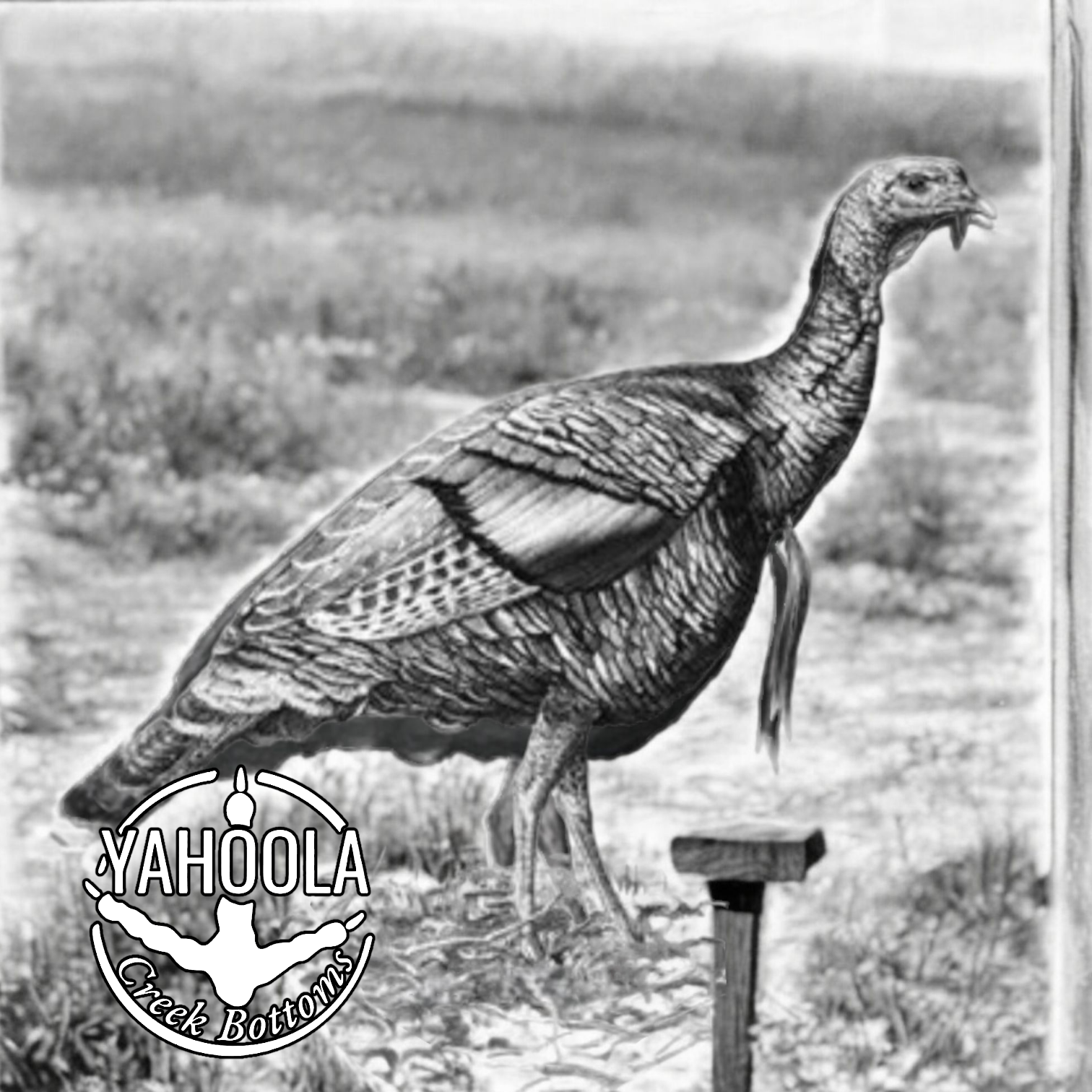 Yahoola Creek Bottoms logo