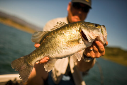 An angler holding up a largemouth bass