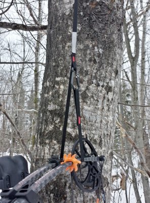 Pro Hunt'R bow pull-up on a tree stand